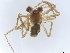  ( - BIOUG28481-G08)  @11 [ ] CreativeCommons - Attribution (2022) CBG Photography Group Centre for Biodiversity Genomics