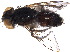  (Wood96 - BIOUG10677-H10)  @13 [ ] CreativeCommons - Attribution (2015) CBG Photography Group Centre for Biodiversity Genomics