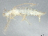  ( - BIOUG37426-E02)  @11 [ ] CreativeCommons - Attribution (2022) CBG Photography Group Centre for Biodiversity Genomics