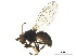  ( - BIOUG37647-E12)  @11 [ ] CreativeCommons - Attribution (2018) CBG Photography Group Centre for Biodiversity Genomics