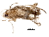  ( - BIOUG36486-H04)  @11 [ ] CreativeCommons - Attribution (2018) CBG Photography Group Centre for Biodiversity Genomics