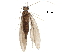  ( - BIOUG36194-F08)  @11 [ ] CreativeCommons - Attribution (2018) CBG Photography Group Centre for Biodiversity Genomics