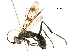  (Eragenia - BIOUG37051-B12)  @14 [ ] CreativeCommons - Attribution (2019) CBG Photography Group Centre for Biodiversity Genomics
