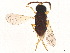  ( - BIOUG31474-C11)  @11 [ ] CreativeCommons - Attribution (2022) CBG Photography Group Centre for Biodiversity Genomics