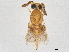  ( - BIOUG31616-C06)  @11 [ ] CreativeCommons - Attribution (2022) CBG Photography Group Centre for Biodiversity Genomics