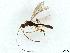  ( - BIOUG31681-G05)  @11 [ ] CreativeCommons - Attribution (2022) CBG Photography Group Centre for Biodiversity Genomics