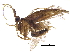  ( - BIOUG31683-B01)  @13 [ ] CreativeCommons - Attribution (2017) CBG Photography Group Centre for Biodiversity Genomics