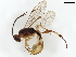  ( - BIOUG31697-H10)  @11 [ ] CreativeCommons - Attribution (2021) CBG Photography Group Centre for Biodiversity Genomics