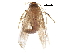  (Hypatopa texo - BIOUG32766-H09)  @12 [ ] CreativeCommons - Attribution (2017) CBG Photography Group Centre for Biodiversity Genomics