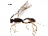  (doryMalaise01 - BIOUG33118-C12)  @14 [ ] CreativeCommons - Attribution (2017) CBG Photography Group Centre for Biodiversity Genomics