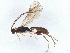  ( - BIOUG33179-B01)  @11 [ ] CreativeCommons - Attribution (2022) CBG Photography Group Centre for Biodiversity Genomics