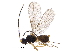  (alyMalaise01 Malaise6911 - BIOUG33275-B09)  @14 [ ] CreativeCommons - Attribution (2017) CBG Photography Group Centre for Biodiversity Genomics