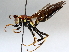  ( - BIOUG64440-B01)  @11 [ ] CreativeCommons - Attribution (2021) Centre for Biodiversity Genomics Centre for Biodiversity Genomics