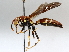  ( - BIOUG64440-B02)  @11 [ ] CreativeCommons - Attribution (2021) Centre for Biodiversity Genomics Centre for Biodiversity Genomics