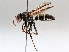  ( - BIOUG64440-B03)  @11 [ ] CreativeCommons - Attribution (2021) Centre for Biodiversity Genomics Centre for Biodiversity Genomics