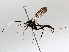  ( - BIOUG64440-C04)  @11 [ ] CreativeCommons - Attribution (2021) Centre for Biodiversity Genomics Centre for Biodiversity Genomics