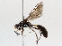  ( - BIOUG64440-G03)  @11 [ ] CreativeCommons - Attribution (2021) Centre for Biodiversity Genomics Centre for Biodiversity Genomics