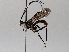  ( - BIOUG64440-G10)  @11 [ ] CreativeCommons - Attribution (2021) Centre for Biodiversity Genomics Centre for Biodiversity Genomics