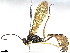  ( - BIOUG66570-G08)  @11 [ ] CreativeCommons - Attribution (2022) CBG Photography Group Centre for Biodiversity Genomics