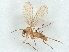  ( - BIOUG68329-G11)  @14 [ ] CreativeCommons - Attribution (2022) CBG Photography Group Centre for Biodiversity Genomics