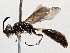  ( - BIOUG63995-G04)  @11 [ ] CreativeCommons - Attribution (2021) Centre for Biodiversity Genomics Centre for Biodiversity Genomics