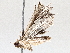  ( - BIOUG63995-H09)  @11 [ ] CreativeCommons - Attribution (2021) Centre for Biodiversity Genomics Centre for Biodiversity Genomics
