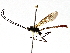  ( - BIOUG63996-A08)  @11 [ ] CreativeCommons - Attribution (2021) Centre for Biodiversity Genomics Centre for Biodiversity Genomics