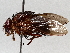  ( - BIOUG63996-B04)  @11 [ ] CreativeCommons - Attribution (2021) Centre for Biodiversity Genomics Centre for Biodiversity Genomics
