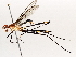  ( - BIOUG64441-G04)  @11 [ ] CreativeCommons - Attribution (2021) Centre for Biodiversity Genomics Centre for Biodiversity Genomics