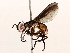  ( - BIOUG64441-H03)  @11 [ ] CreativeCommons - Attribution (2021) Centre for Biodiversity Genomics Centre for Biodiversity Genomics