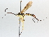  ( - BIOUG64442-F02)  @11 [ ] CreativeCommons - Attribution (2021) Centre for Biodiversity Genomics Centre for Biodiversity Genomics