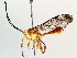  ( - BIOUG64442-G01)  @11 [ ] CreativeCommons - Attribution (2021) Centre for Biodiversity Genomics Centre for Biodiversity Genomics