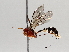 ( - BIOUG64443-B02)  @11 [ ] CreativeCommons - Attribution (2021) Centre for Biodiversity Genomics Centre for Biodiversity Genomics