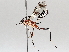  ( - BIOUG64443-C04)  @11 [ ] CreativeCommons - Attribution (2021) Centre for Biodiversity Genomics Centre for Biodiversity Genomics