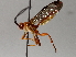  ( - BIOUG64443-D12)  @13 [ ] CreativeCommons - Attribution (2021) Centre for Biodiversity Genomics Centre for Biodiversity Genomics