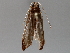  ( - BIOUG64444-E12)  @11 [ ] CreativeCommons - Attribution (2021) Centre for Biodiversity Genomics Centre for Biodiversity Genomics