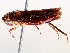 ( - BIOUG64446-H07)  @11 [ ] CreativeCommons - Attribution (2021) Centre for Biodiversity Genomics Centre for Biodiversity Genomics