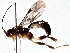  ( - BIOUG70345-A05)  @11 [ ] CreativeCommons - Attribution (2021) Centre for Biodiversity Genomics Centre for Biodiversity Genomics