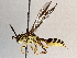  ( - BIOUG70345-F01)  @11 [ ] CreativeCommons - Attribution (2021) Centre for Biodiversity Genomics Centre for Biodiversity Genomics