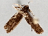  ( - BIOUG70345-F08)  @11 [ ] CreativeCommons - Attribution (2021) Centre for Biodiversity Genomics Centre for Biodiversity Genomics
