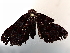  ( - BIOUG70345-G01)  @11 [ ] CreativeCommons - Attribution (2021) Centre for Biodiversity Genomics Centre for Biodiversity Genomics
