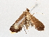  ( - BIOUG70345-G06)  @11 [ ] CreativeCommons - Attribution (2021) Centre for Biodiversity Genomics Centre for Biodiversity Genomics