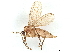  ( - BIOUG71841-C09)  @14 [ ] CreativeCommons - Attribution (2022) CBG Photography Group Centre for Biodiversity Genomics
