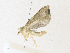  ( - CBG-A36835-D09)  @11 [ ] CreativeCommons - Attribution Share - Alike (2024) CBG Photography Group Centre for Biodiversity Genomics