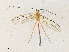  ( - CBG-A36835-E03)  @11 [ ] CreativeCommons - Attribution Share - Alike (2024) CBG Photography Group Centre for Biodiversity Genomics