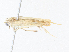 ( - CBG-A36836-E11)  @11 [ ] CreativeCommons - Attribution Share - Alike (2024) CBG Photography Group Centre for Biodiversity Genomics