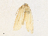  ( - CBG-A36836-H02)  @11 [ ] CreativeCommons - Attribution Share - Alike (2024) CBG Photography Group Centre for Biodiversity Genomics