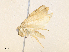  ( - CBG-A36836-H04)  @11 [ ] CreativeCommons - Attribution Share - Alike (2024) CBG Photography Group Centre for Biodiversity Genomics