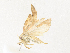  ( - CBG-A36837-B07)  @11 [ ] CreativeCommons - Attribution Share - Alike (2024) CBG Photography Group Centre for Biodiversity Genomics