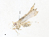  ( - CBG-A36837-C11)  @11 [ ] CreativeCommons - Attribution Share - Alike (2024) CBG Photography Group Centre for Biodiversity Genomics